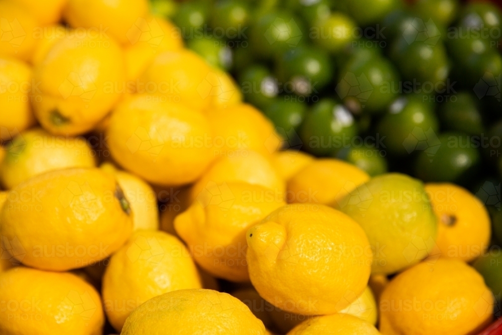 piles of lemons and limes for sale at the markets - Australian Stock Image