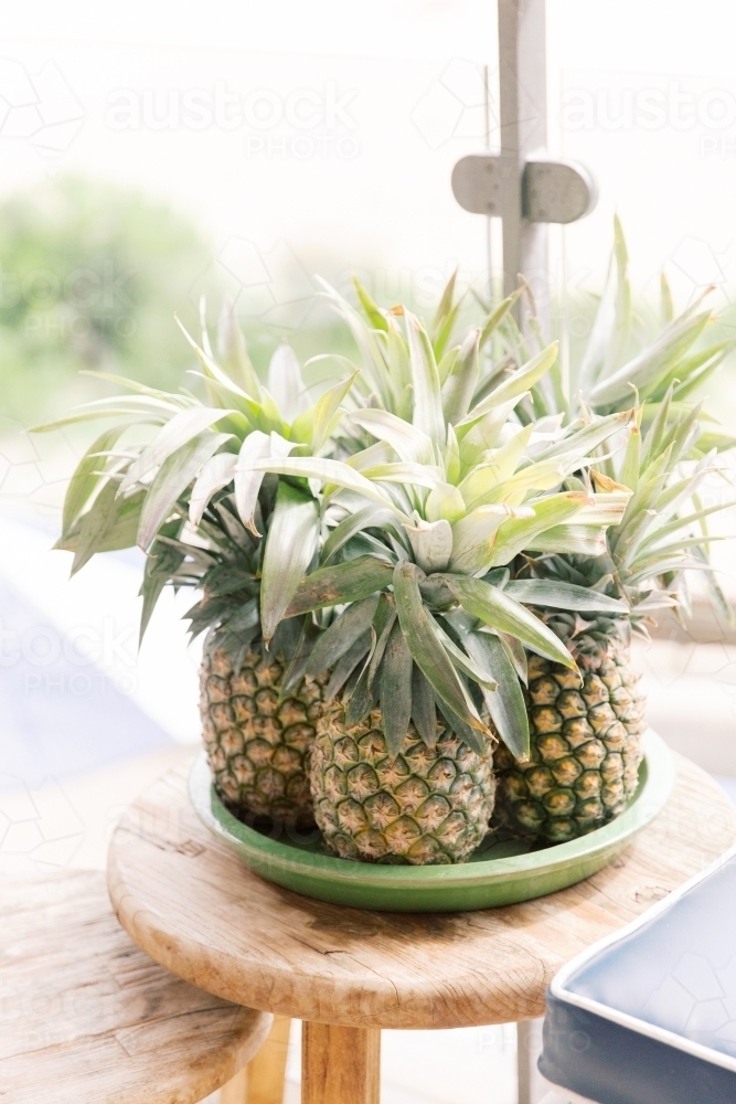 Pineapples - Australian Stock Image