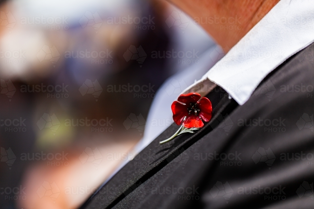 Poppy pin on shirt collar on remembrance day - Australian Stock Image