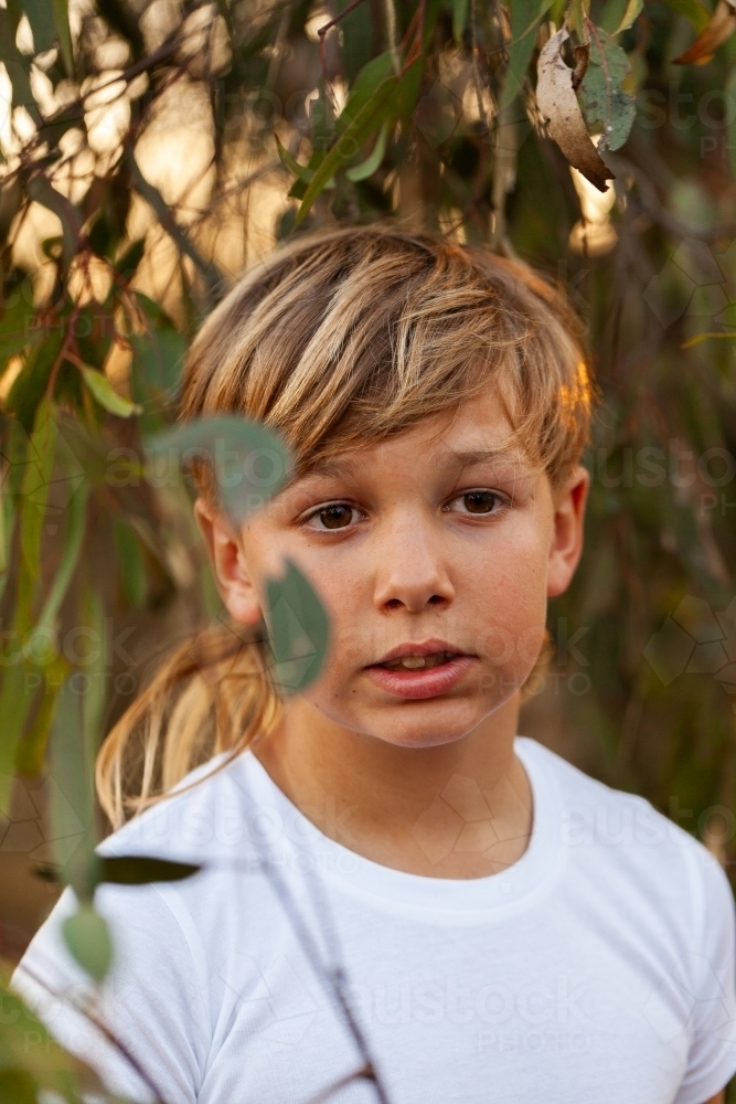 Portrait of an aboriginal boy surrounded by gum leaves on eucalypt tree - Australian Stock Image