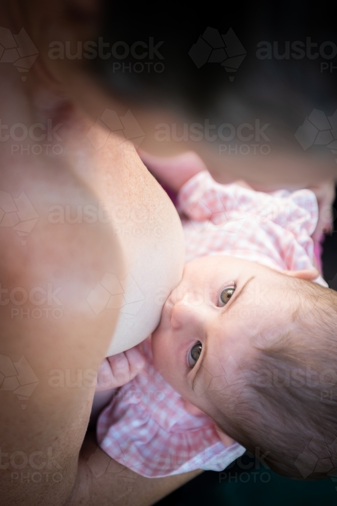 Portrait view of baby breast feeding. - Australian Stock Image