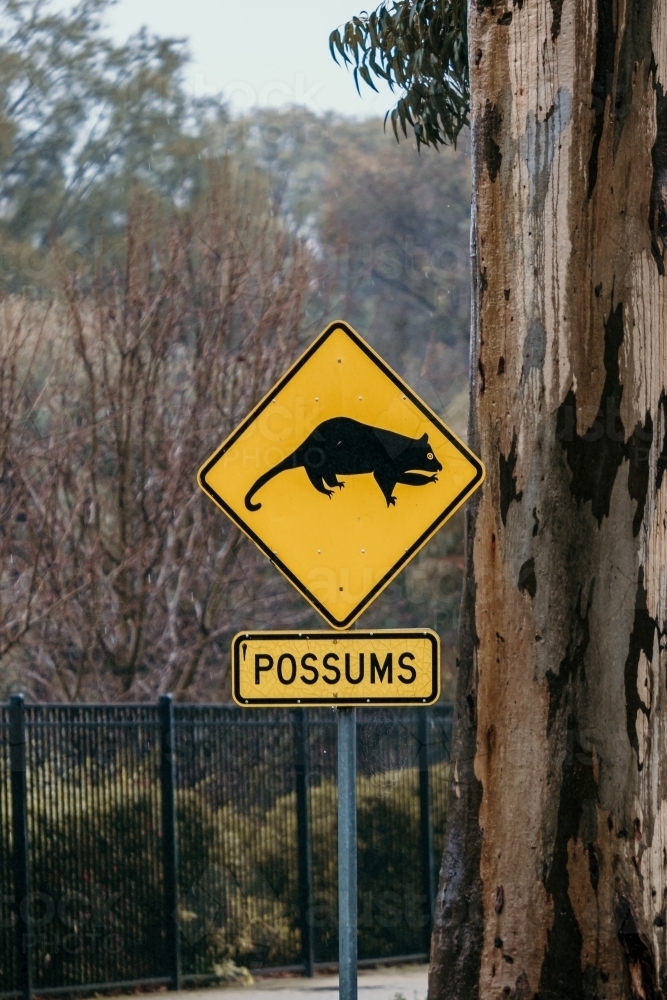 Possum crossing sign - Australian Stock Image