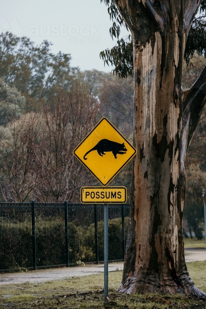 Possum crossing sign - Australian Stock Image