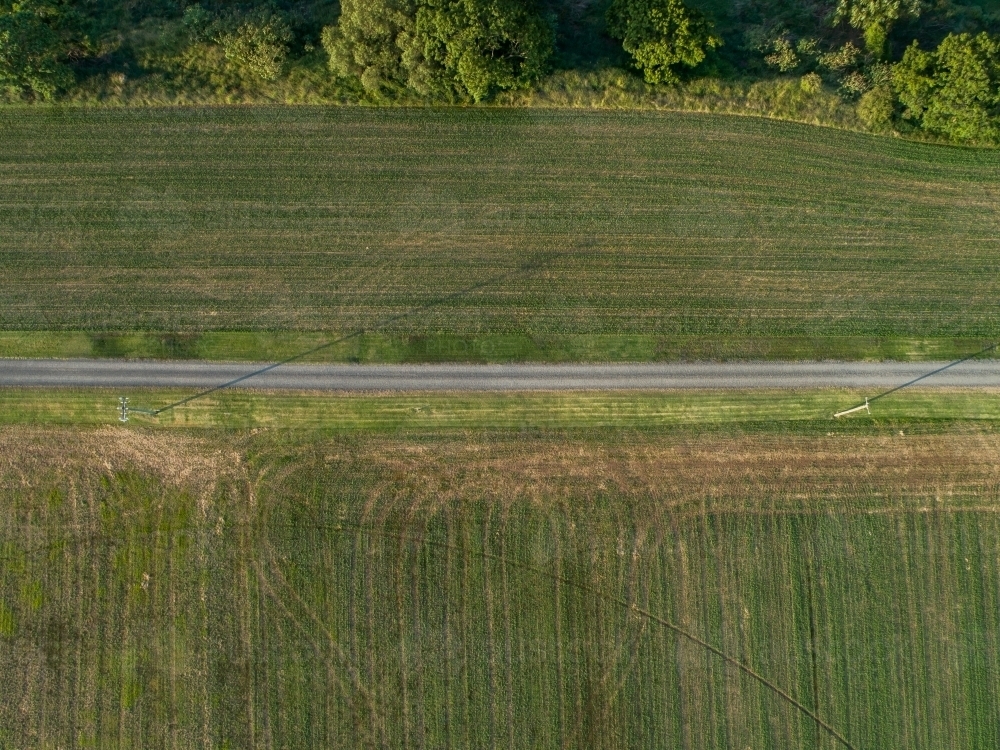 Power poles casting long shadows beside narrow road and farm paddock - Australian Stock Image