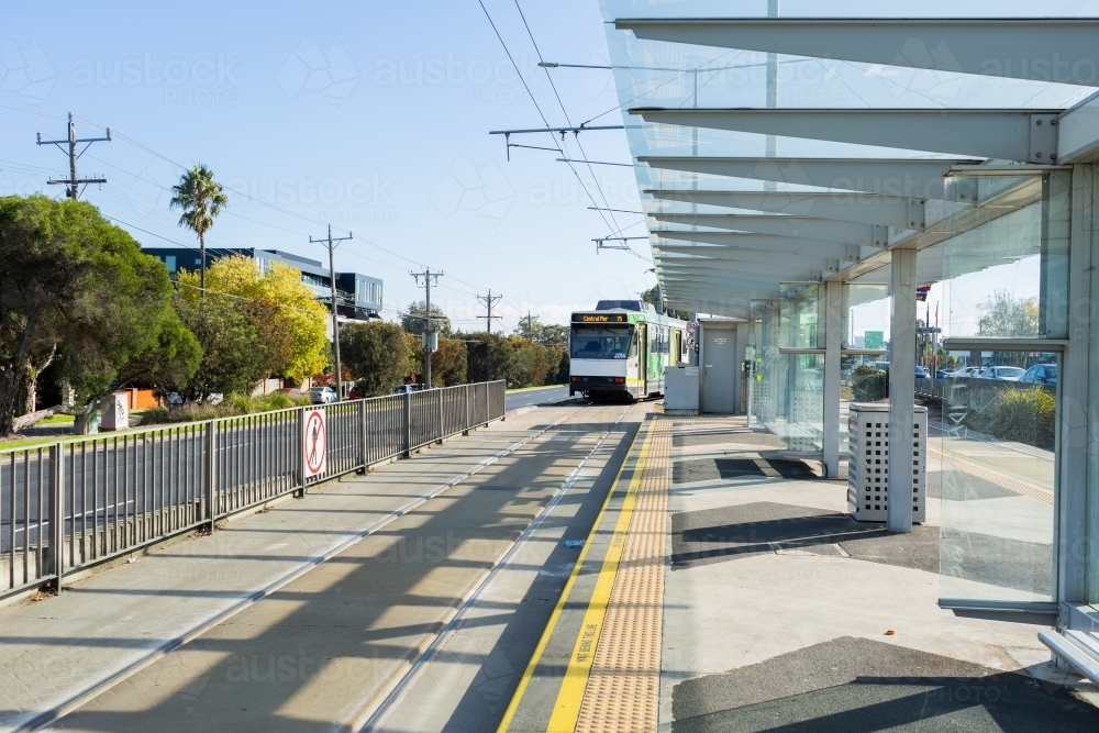 Public transport tram leaving platform of station in Vermont South Melbourne suburb - Australian Stock Image