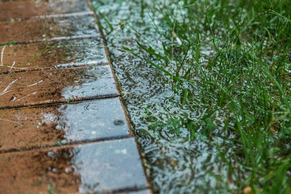 puddle in the grass and tiles in the rain - Australian Stock Image