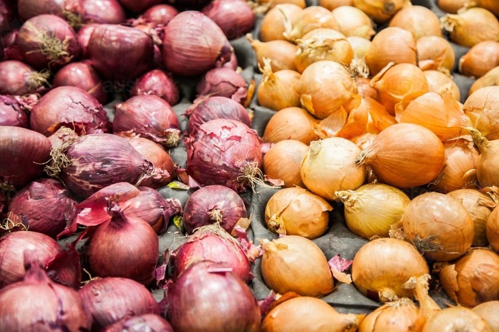 Purple and orange coloured onions in the grocery store - Australian Stock Image