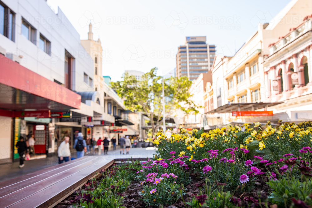 Queen Street mall gardens, shop fronts and pedestrians in Brisbane - Australian Stock Image