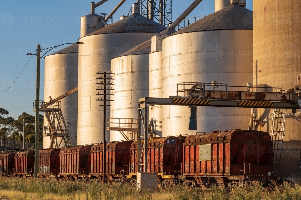 Railway carriages lined up alongside tall grain silos in a rural town - Australian Stock Image