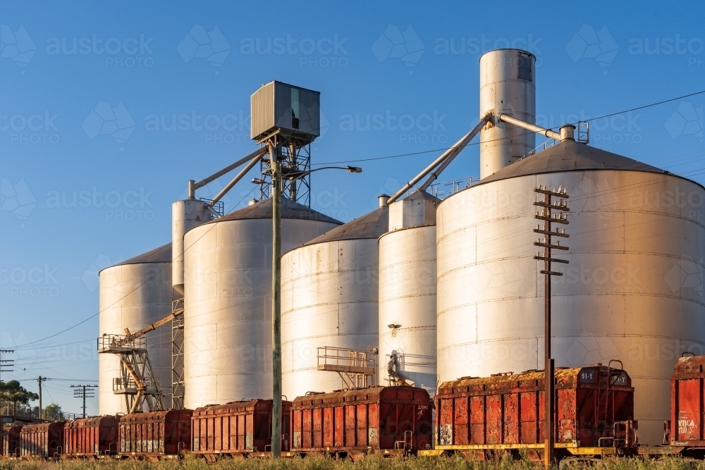 Railway carriages lined up alongside tall grain silos in a rural town - Australian Stock Image