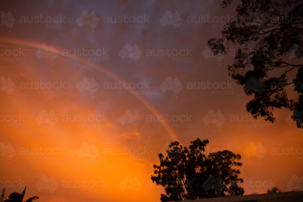 rainbow against orange clouds at sunset with silhouetted trees - Australian Stock Image