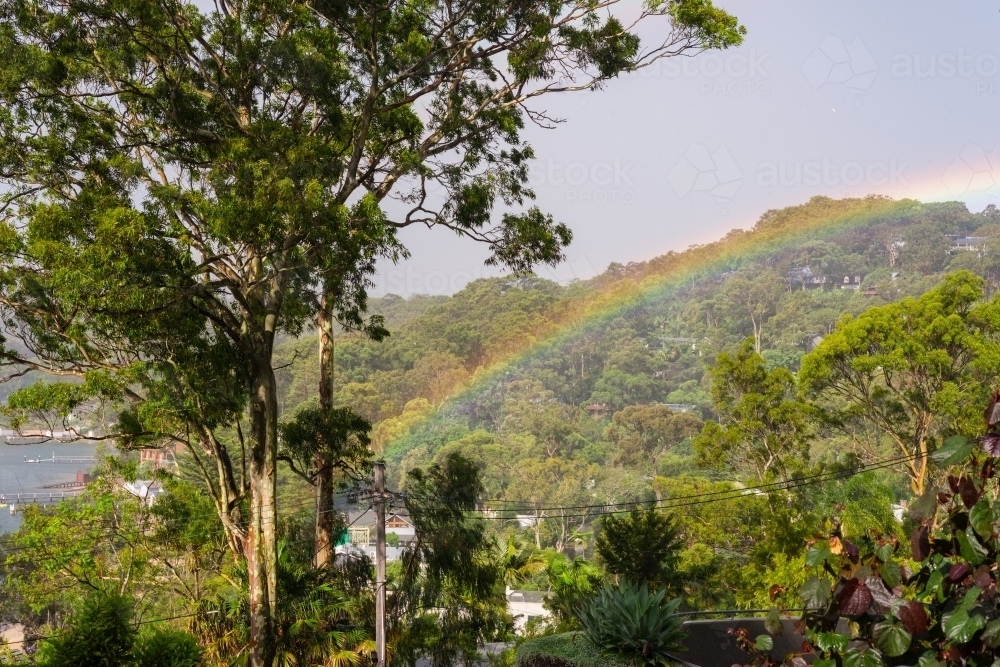 rainbow amongst the gum trees - Australian Stock Image