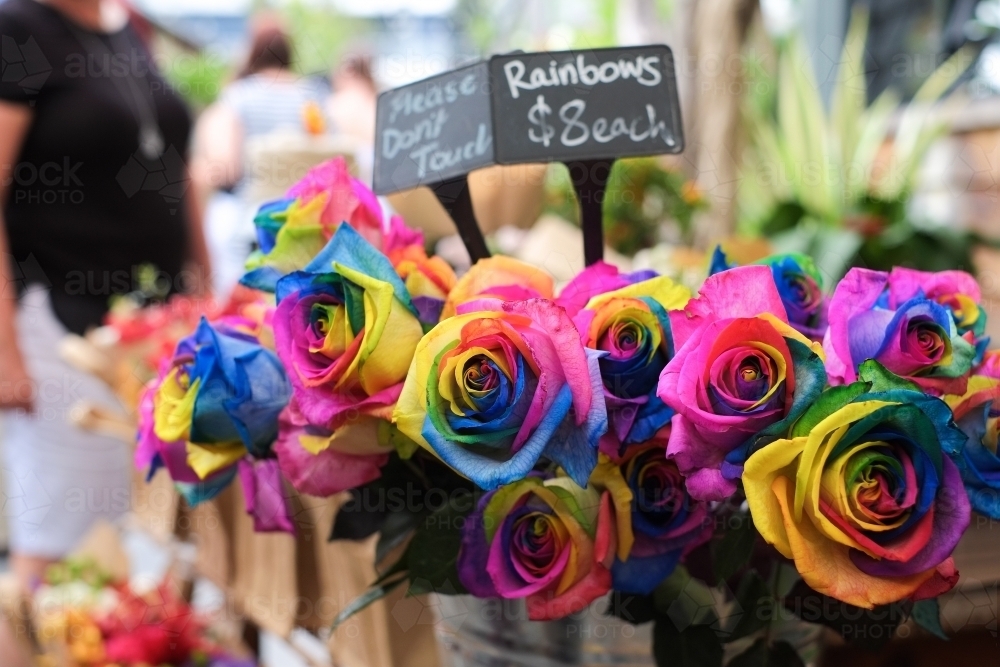 Rainbow coloured roses for sale at a market - Australian Stock Image