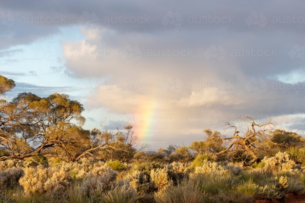 rainbow over outback landscape - Australian Stock Image