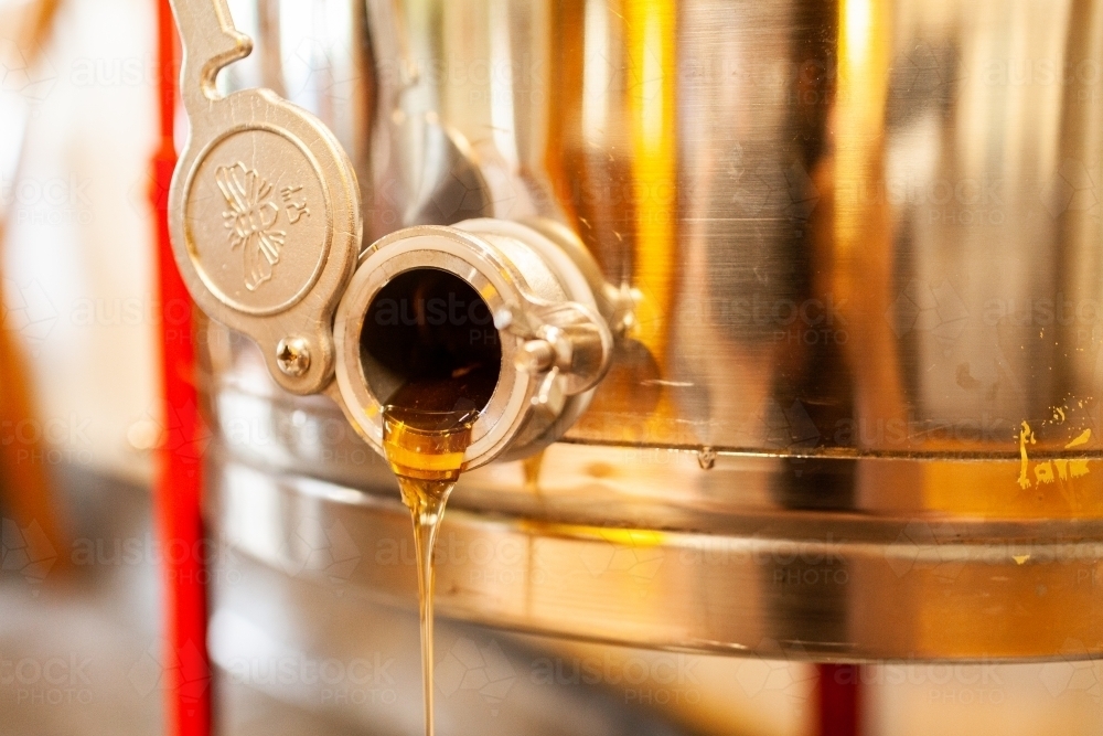 raw honey dripping from honey extractor machine - honey harvest - Australian Stock Image