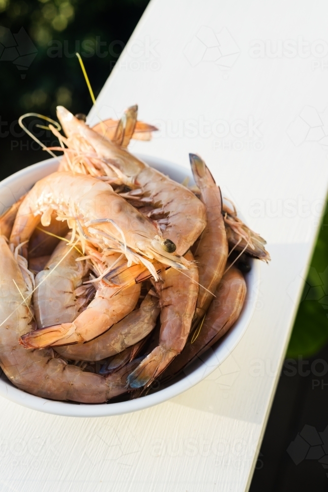 raw prawns, unpeeled - Australian Stock Image