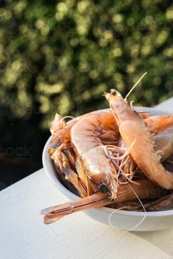 raw prawns, unpeeled - Australian Stock Image