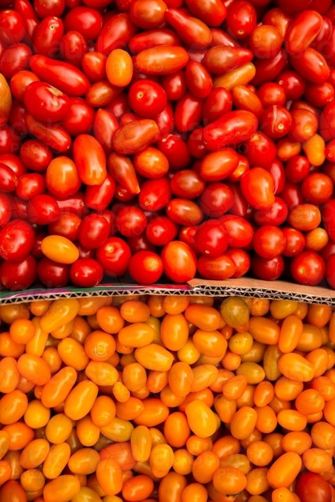 red and yellow tomatoes in a box - Australian Stock Image