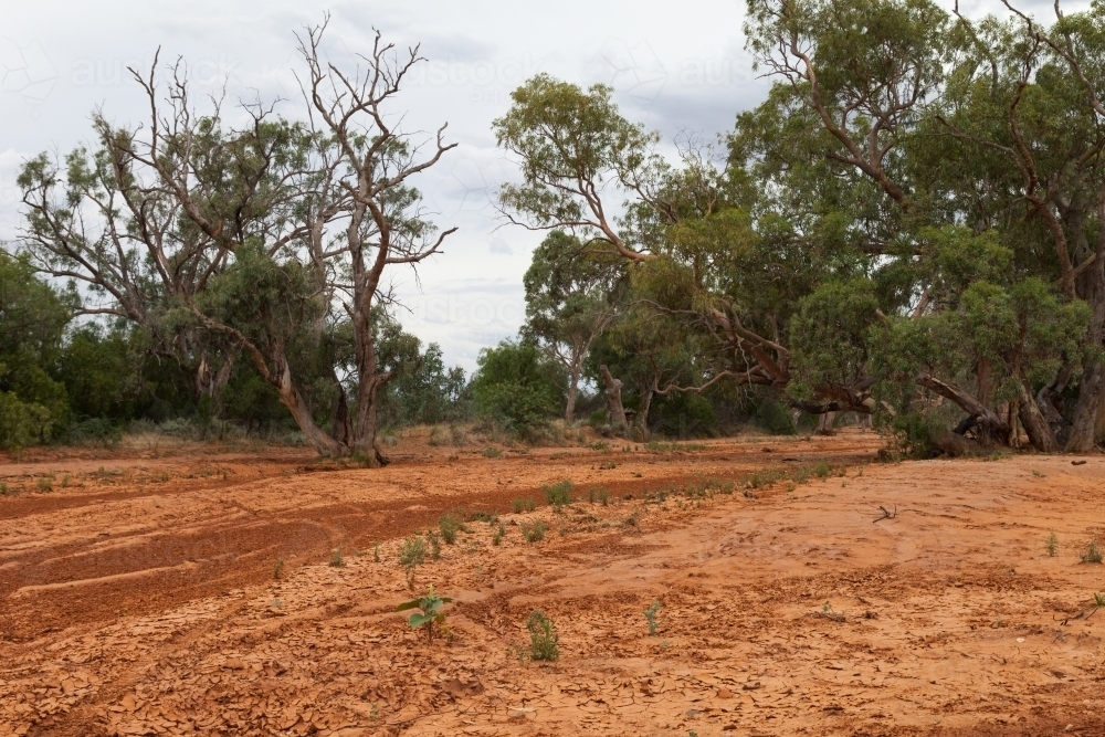 Red Australian landscape - Australian Stock Image