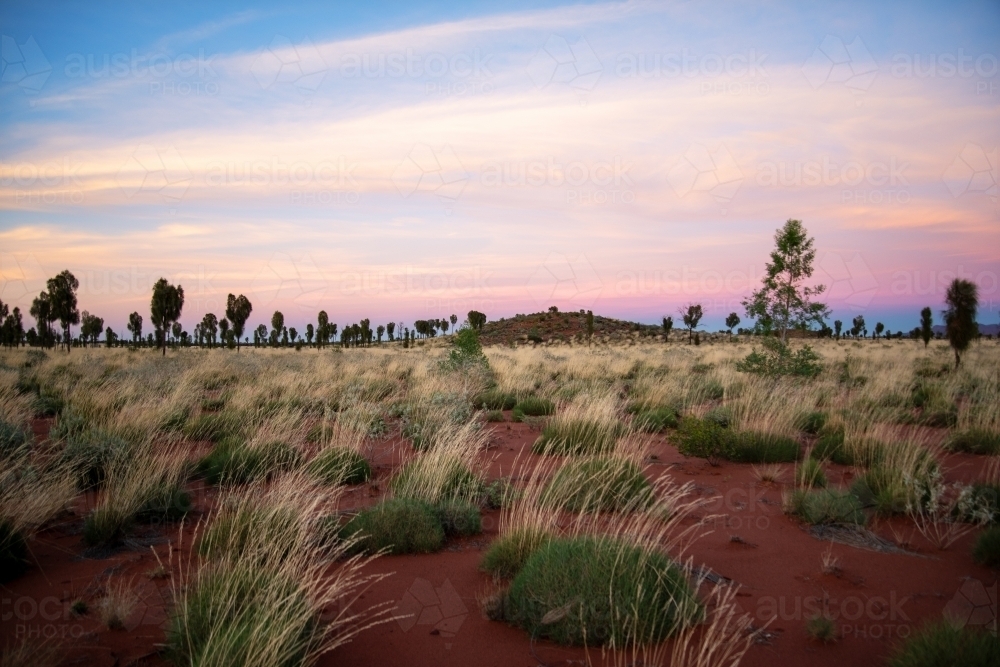 Red desert sands at sunrise - Australian Stock Image