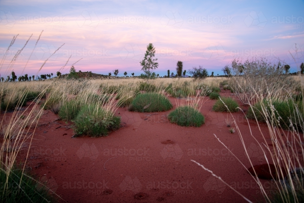 Red desert sands sunrise - Australian Stock Image