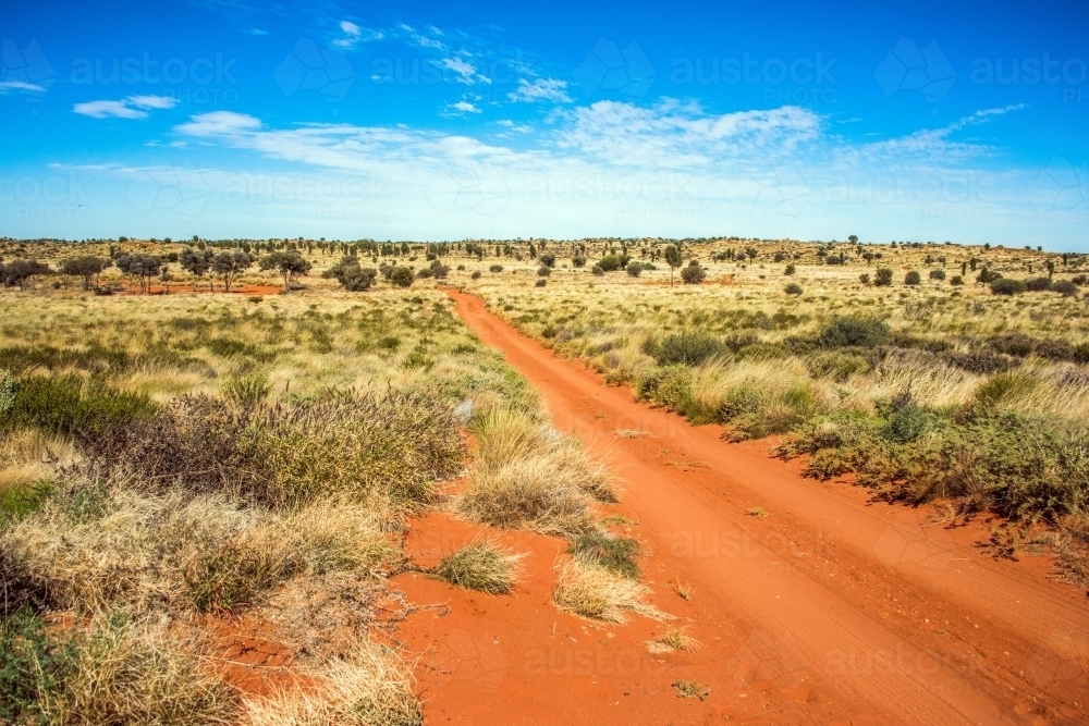 image-of-red-dirt-road-in-the-northern-territory-austockphoto