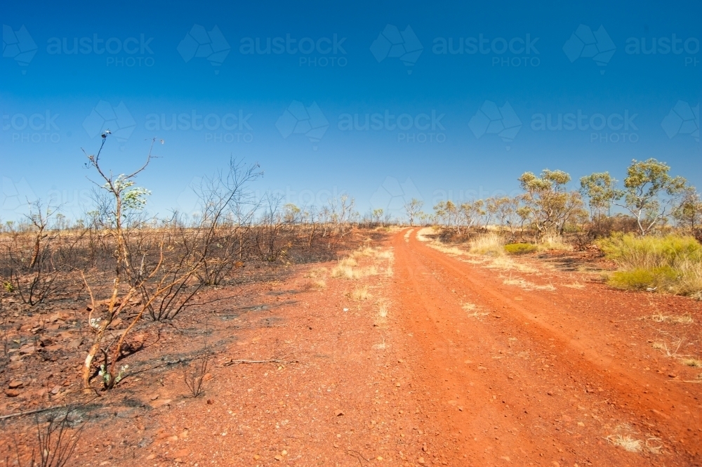 Red dirt track in Northern Territory - Australian Stock Image