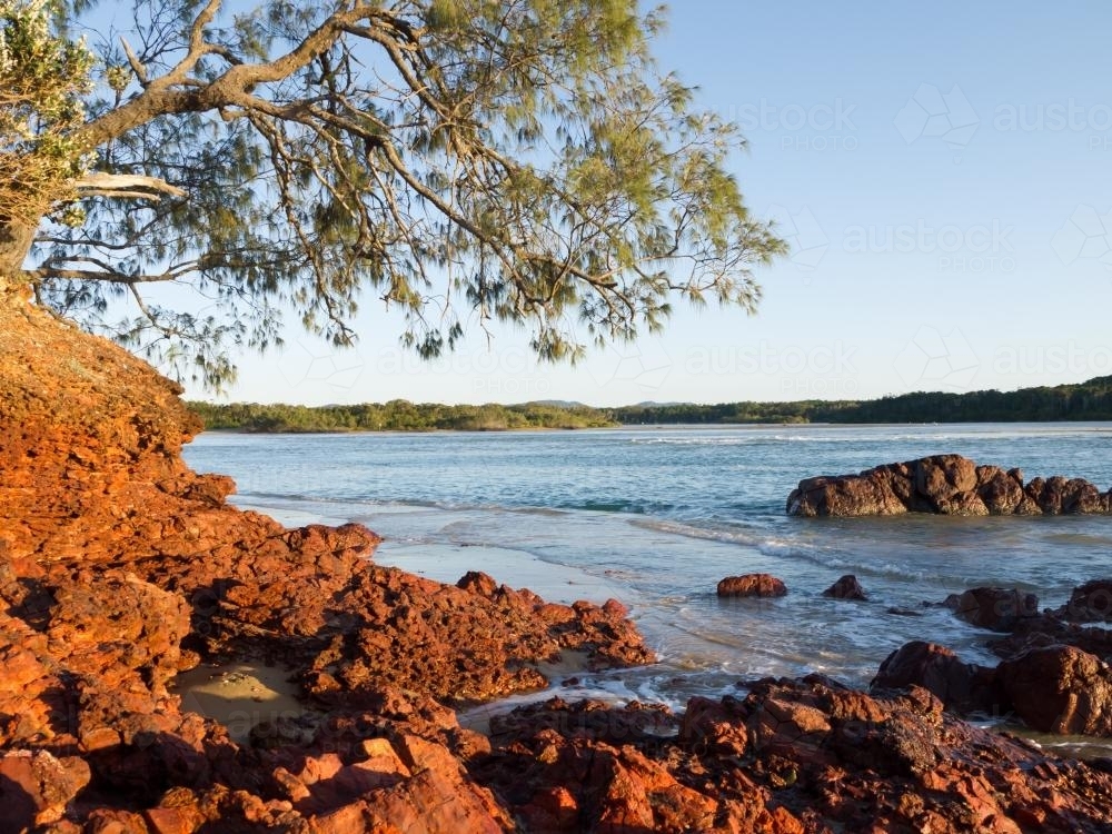 Red rocks and overhanging tree beside water - Australian Stock Image