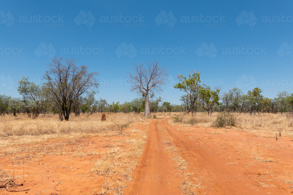Red sand track in outback Northern Territory - Australian Stock Image