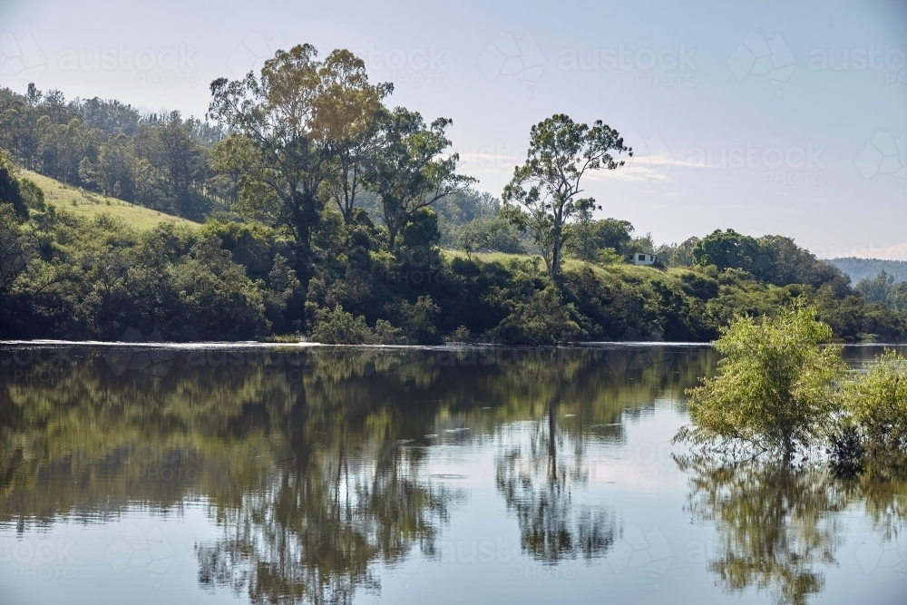 Reflection of trees in river - Australian Stock Image