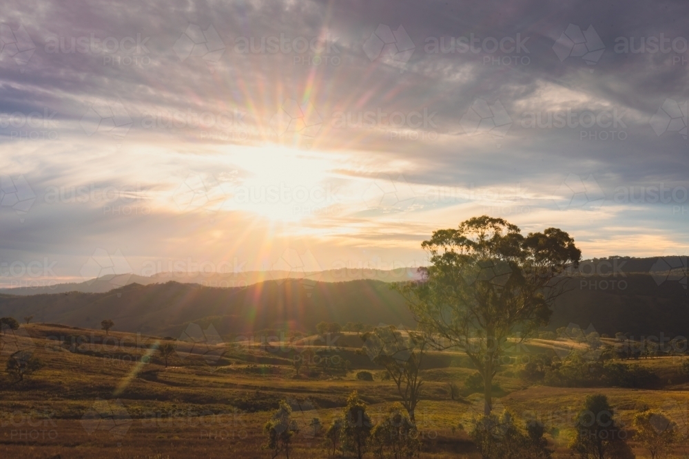 Image of Regional NSW sunset landscape with wind turbines on ridgeline ...