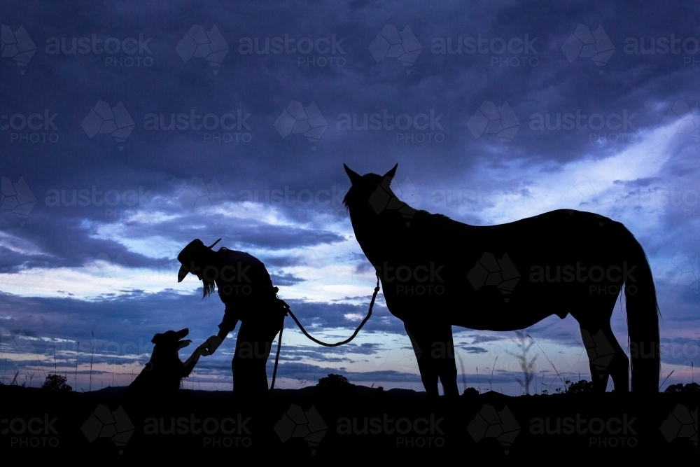 ridgeline silhouette of a stock horse with country woman and farm dog - Australian Stock Image