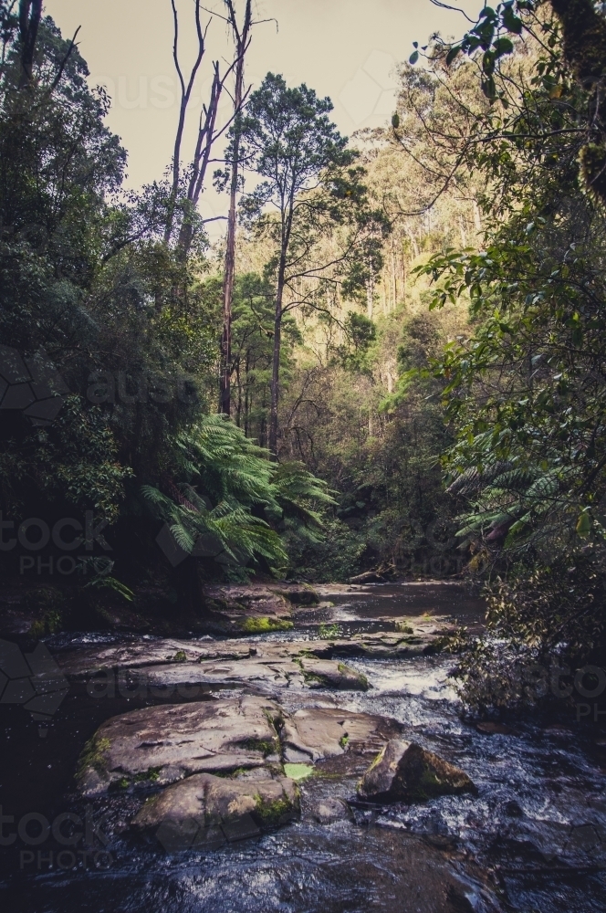 River near Lorne, Victoria - Australian Stock Image