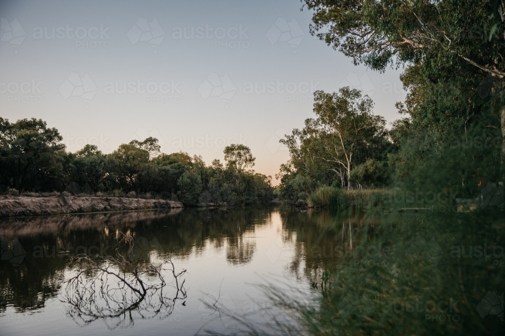 River surrounded by foliage in the afternoon - Australian Stock Image