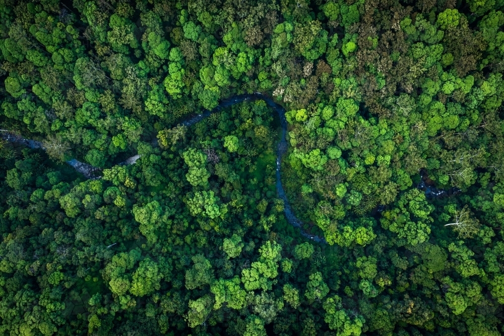 River winding through tropical rainforest - Australian Stock Image