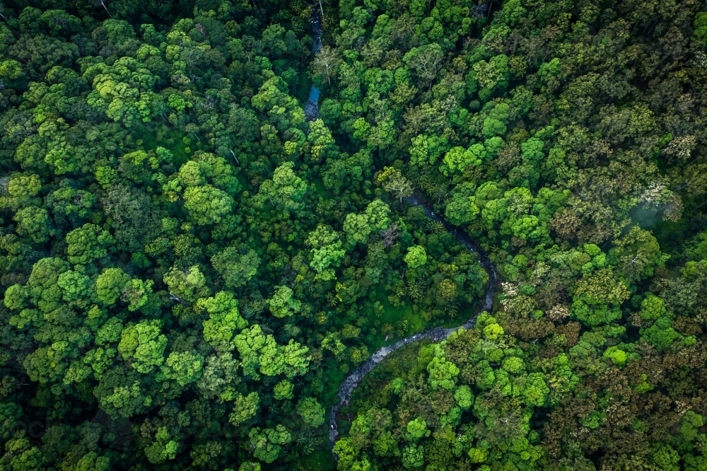 River winding through tropical rainforest - Australian Stock Image