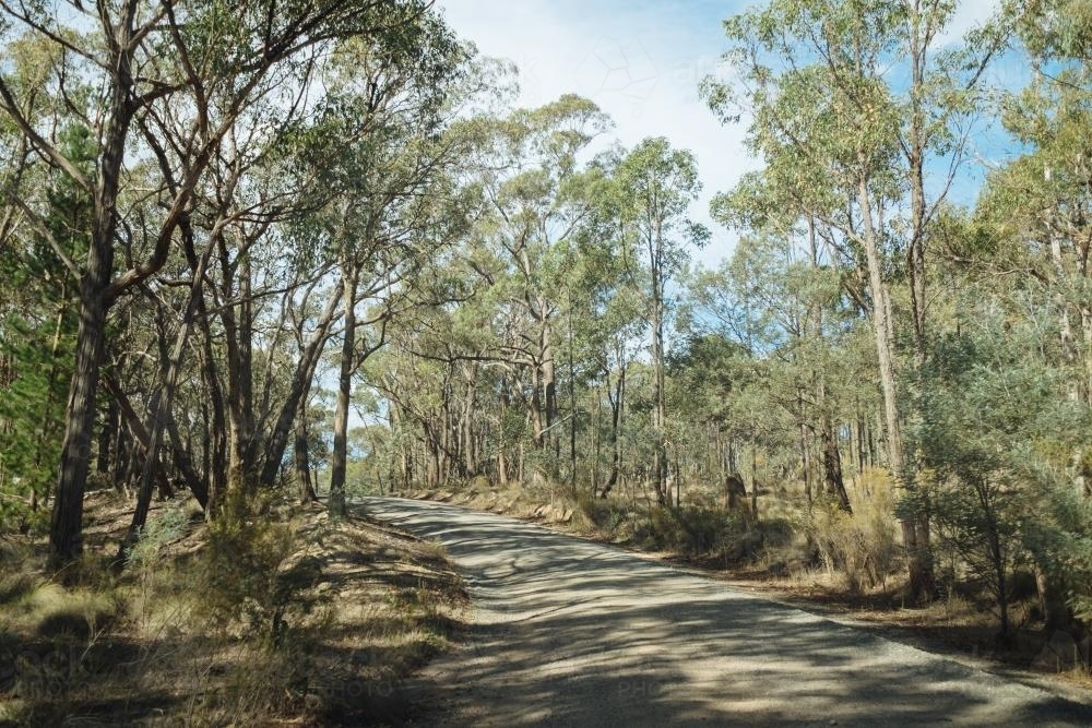 Image of Road through Australian bush - Austockphoto