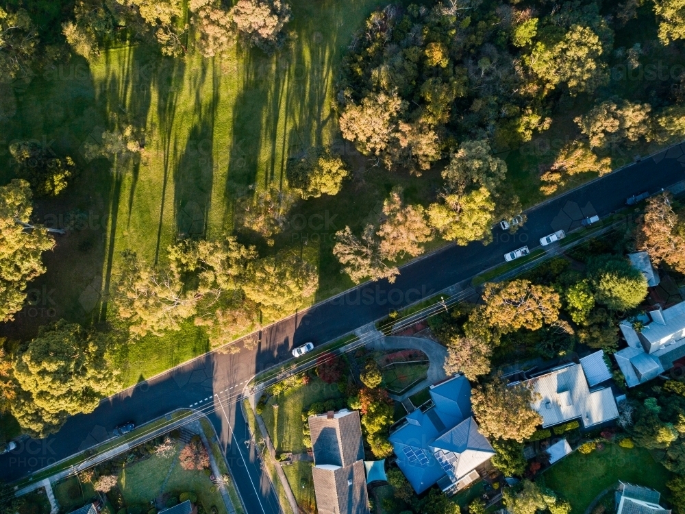 road with green parkland Campbells Croft Reserve, in Melbourne suburb of Vermont - Australian Stock Image