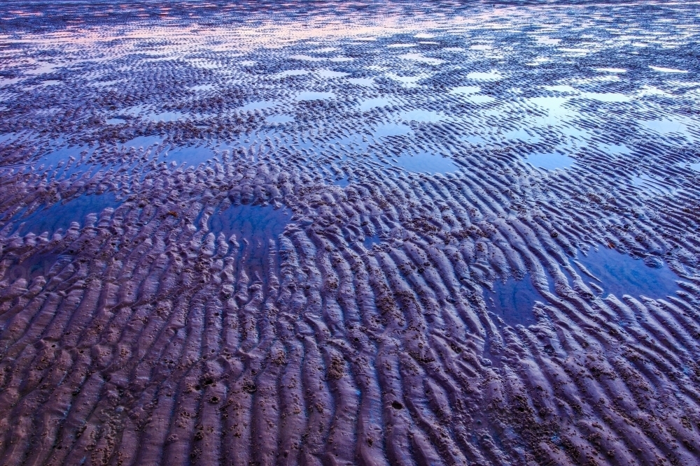 Roebuck Bay mudflats at dusk - Australian Stock Image