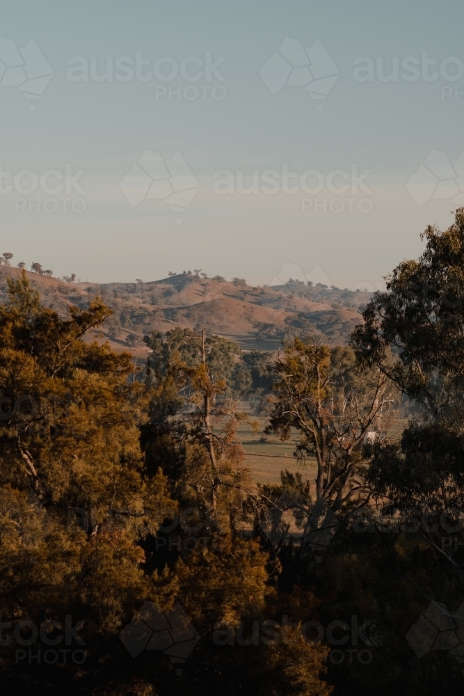 Rolling hills looking over Tumut River and Nimbo Creek between Tumut and Gundagai - Australian Stock Image