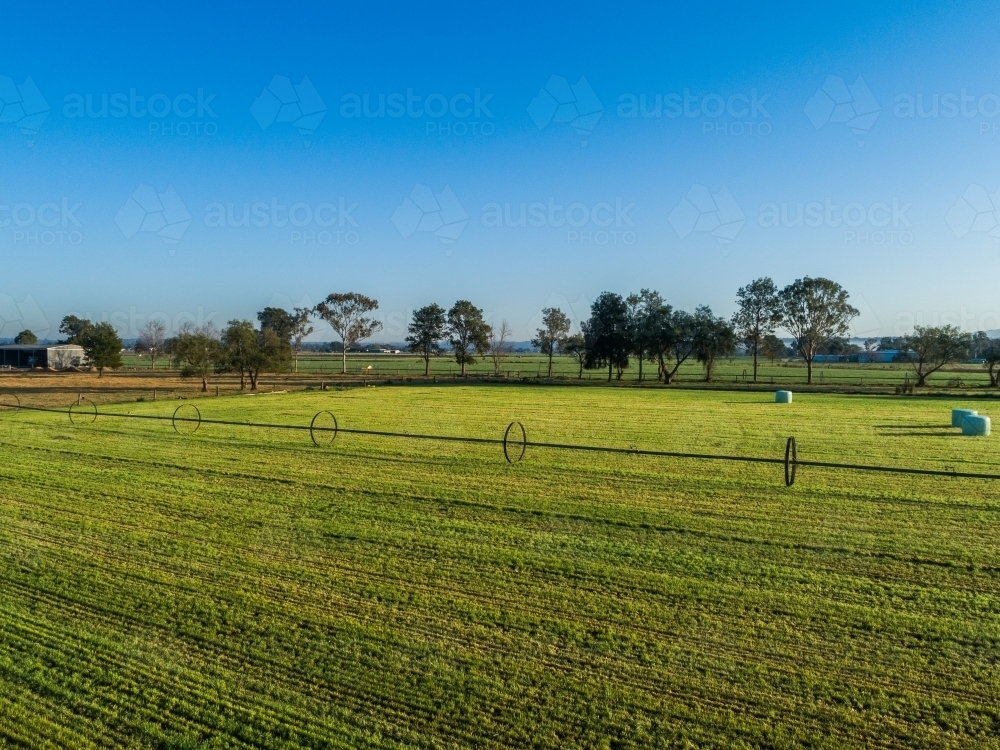 Rolling irrigation sprinkler in green farm paddock - Australian Stock Image