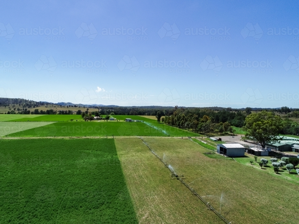 Rolling sprinkler and lucerne paddock on farm - Australian Stock Image