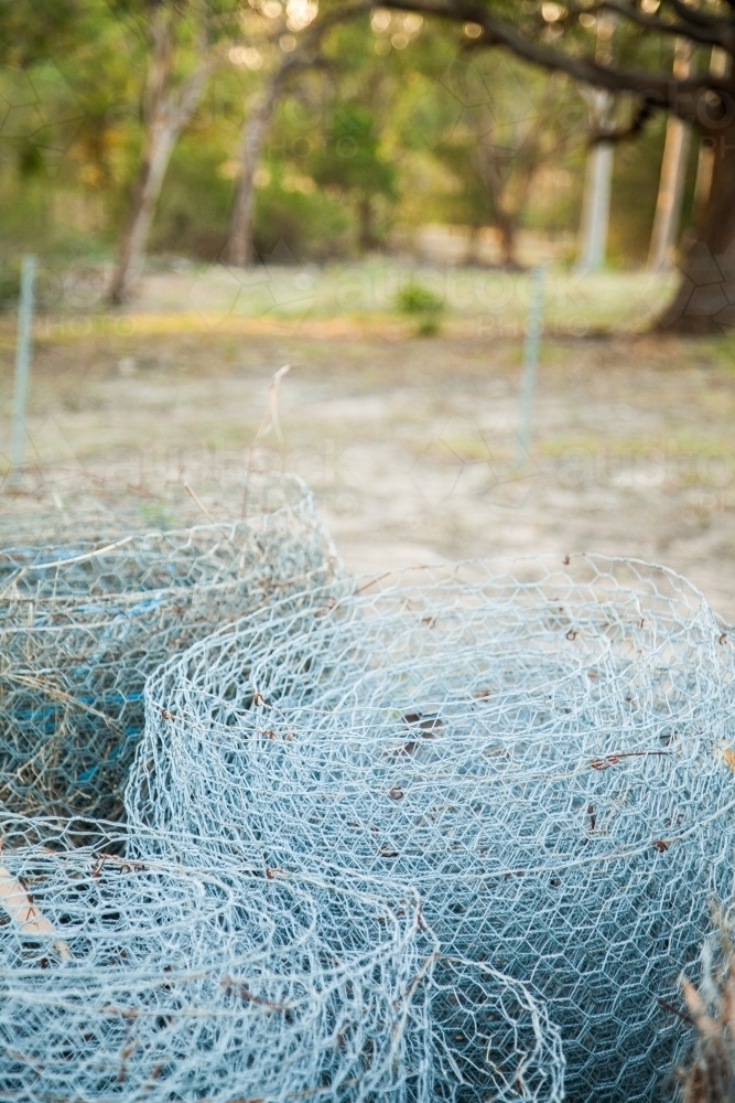 Rolls of used chicken wire mesh - Australian Stock Image