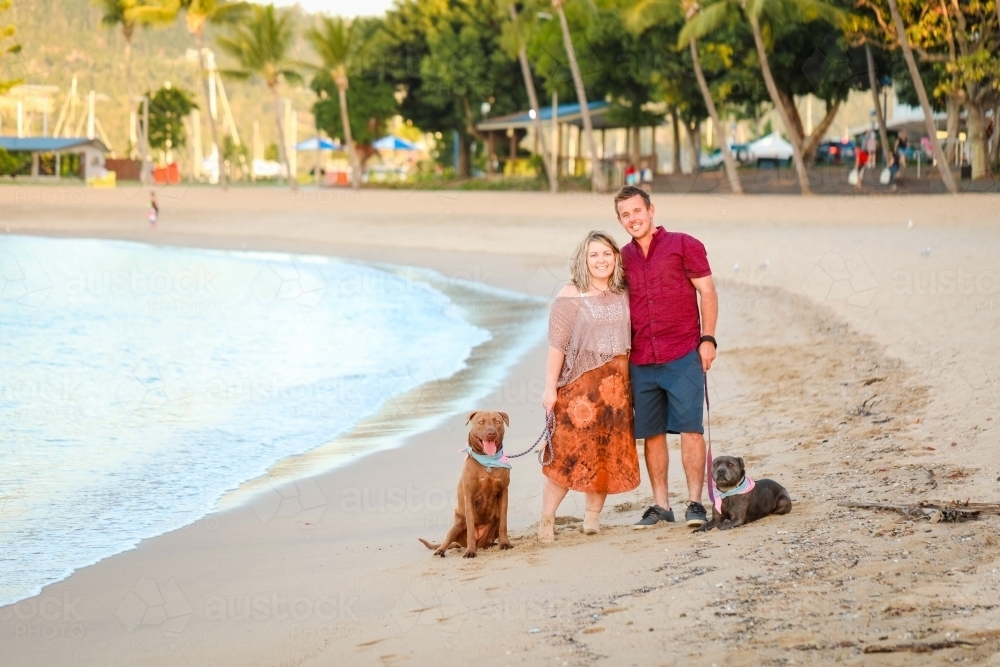 Romantic couple standing with dogs on the beach at the Airlie Beach esplanade - Australian Stock Image