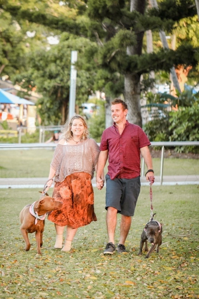 Romantic couple walking dogs in the park in golden afternoon light - Australian Stock Image