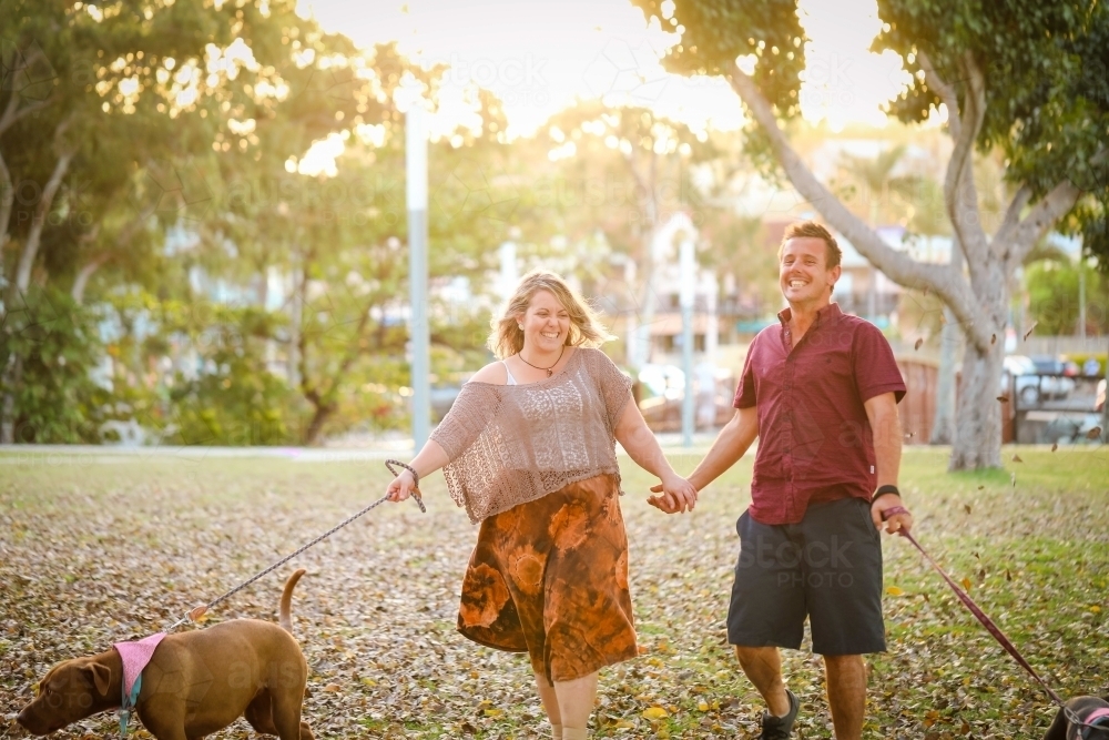 Romantic couple walking dogs in the park in golden afternoon light - Australian Stock Image