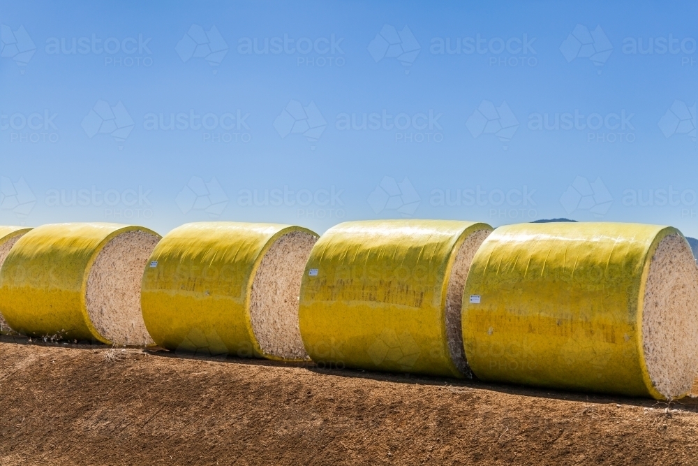 Round bales of baled cotton ready to leave farm - Australian Stock Image