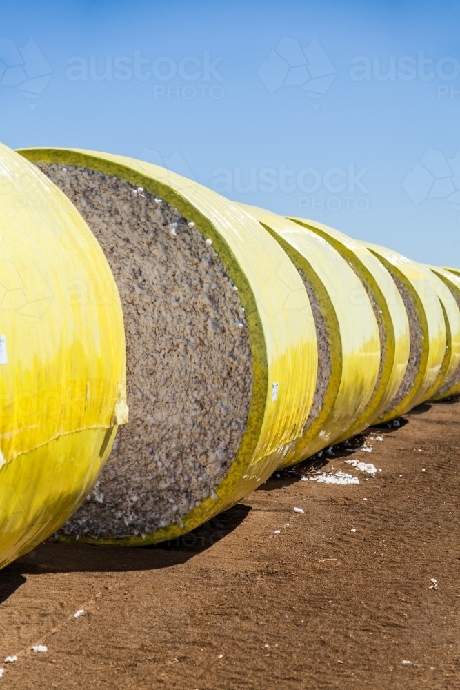 Round bales of baled cotton ready to leave farm - Australian Stock Image