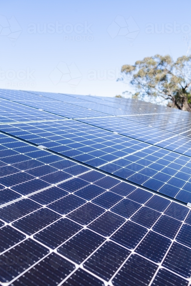 Rows of blue solar panels up to sky on roof of home - Australian Stock Image