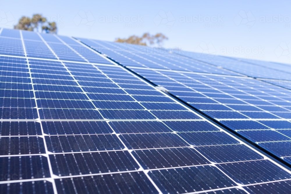 Rows of blue solar panels up to sky on roof of home - Australian Stock Image